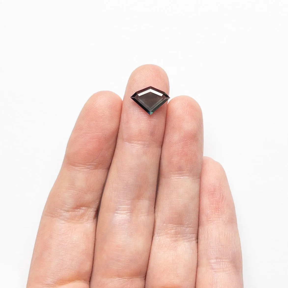 1.25ct 8.52x11.69x1.57mm Geometric Portrait Cut Sapphire 23800-01