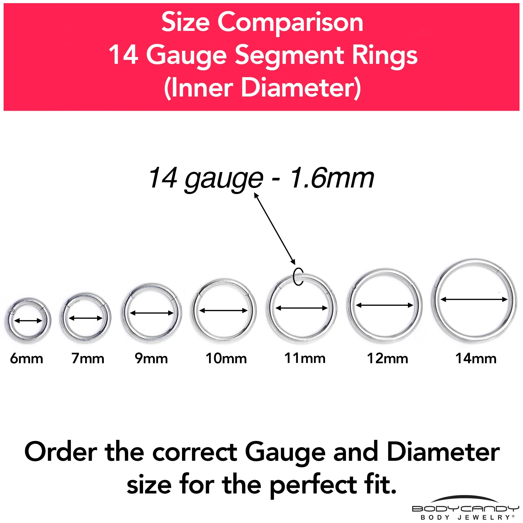 14 Gauge 9/16 316L Surgical Steel Precision Hinged Segment Hoop