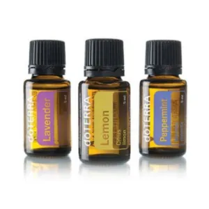 Beginner's Trio Kit