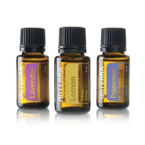 Beginner's Trio Kit