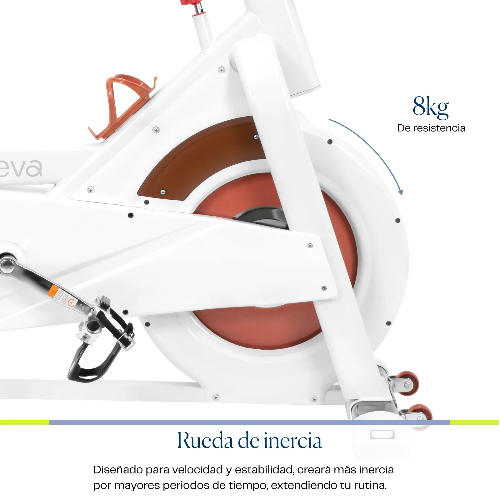 Eleva Bicicleta Spinning Rueda Resistencia Magnetica Gym