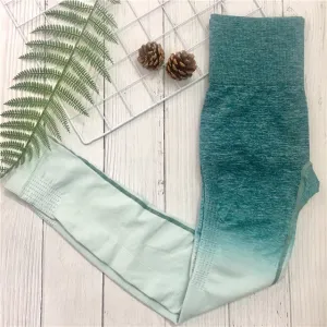 Fitness Leggins