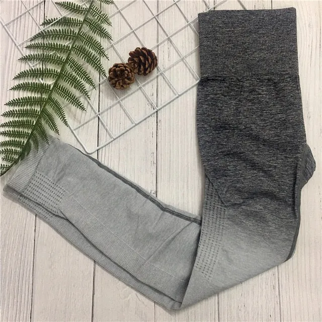 Fitness Leggins
