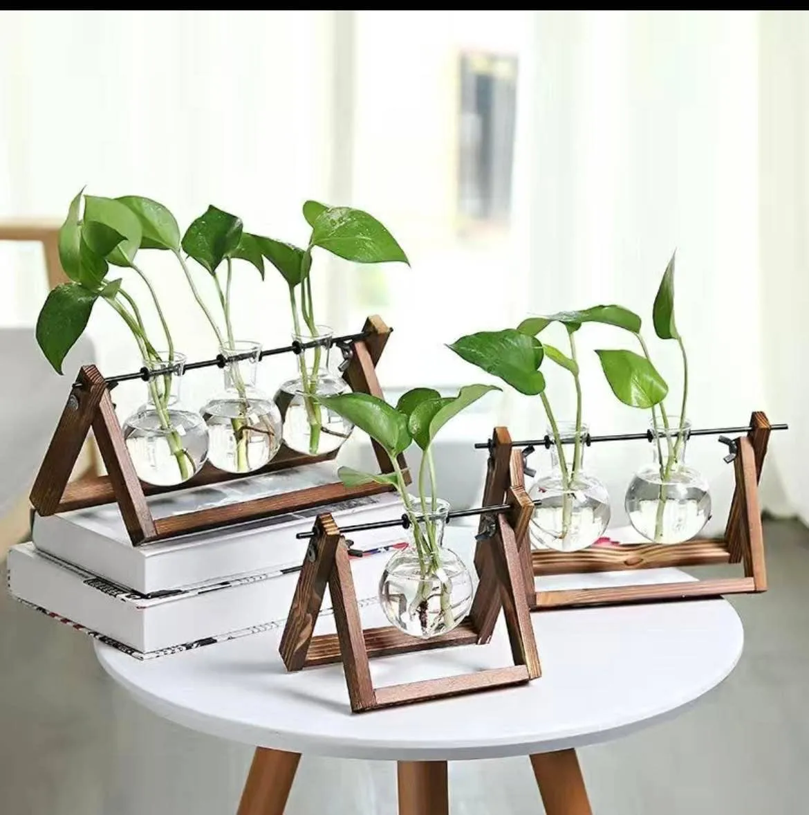 Hydroponic Planter with One Bottle