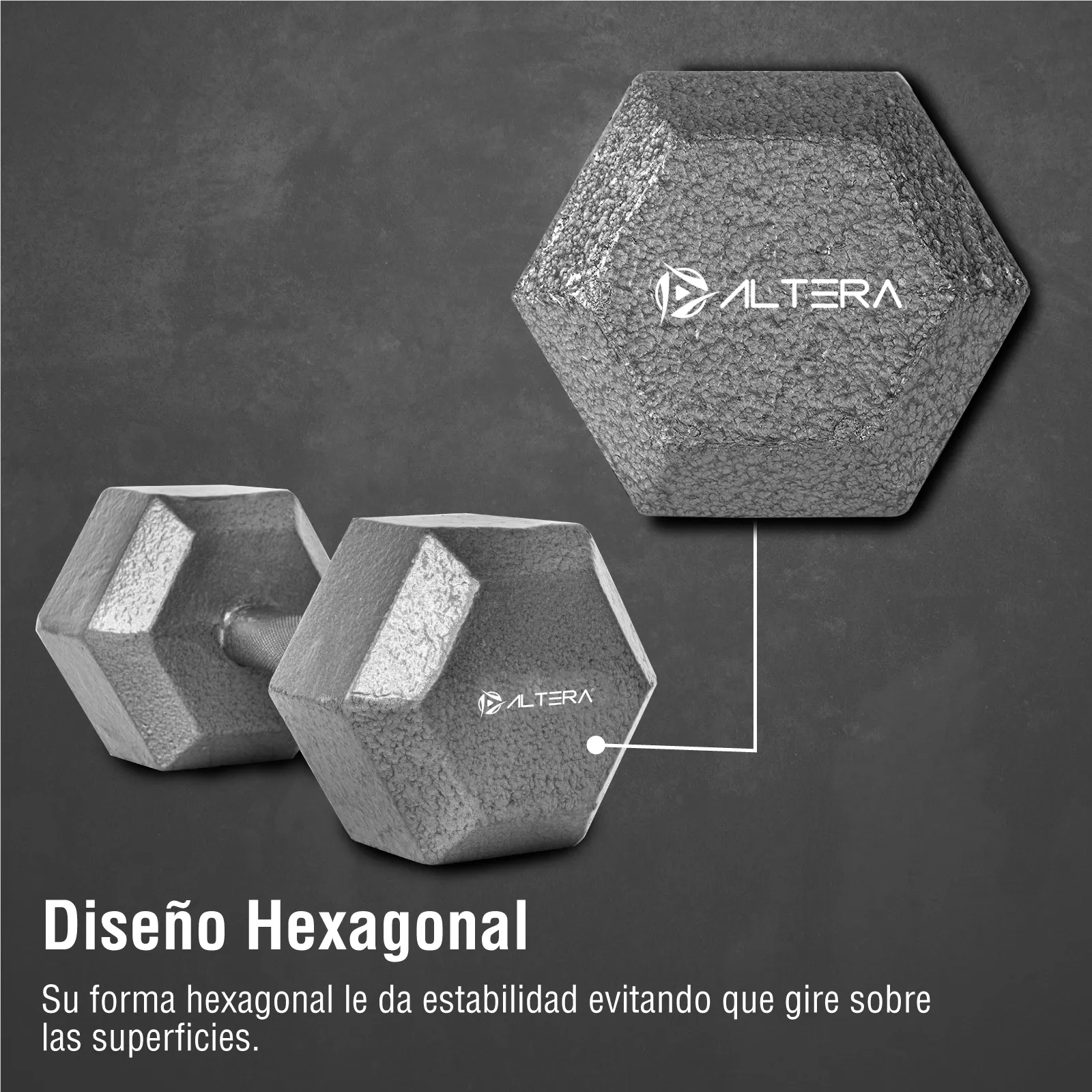 Mancuerna Hexagonal De Metal 10lb Altera Fitness 4.5kg 1 Pza
