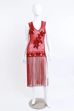 Scarlet Sequin Fringe Flapper Dress