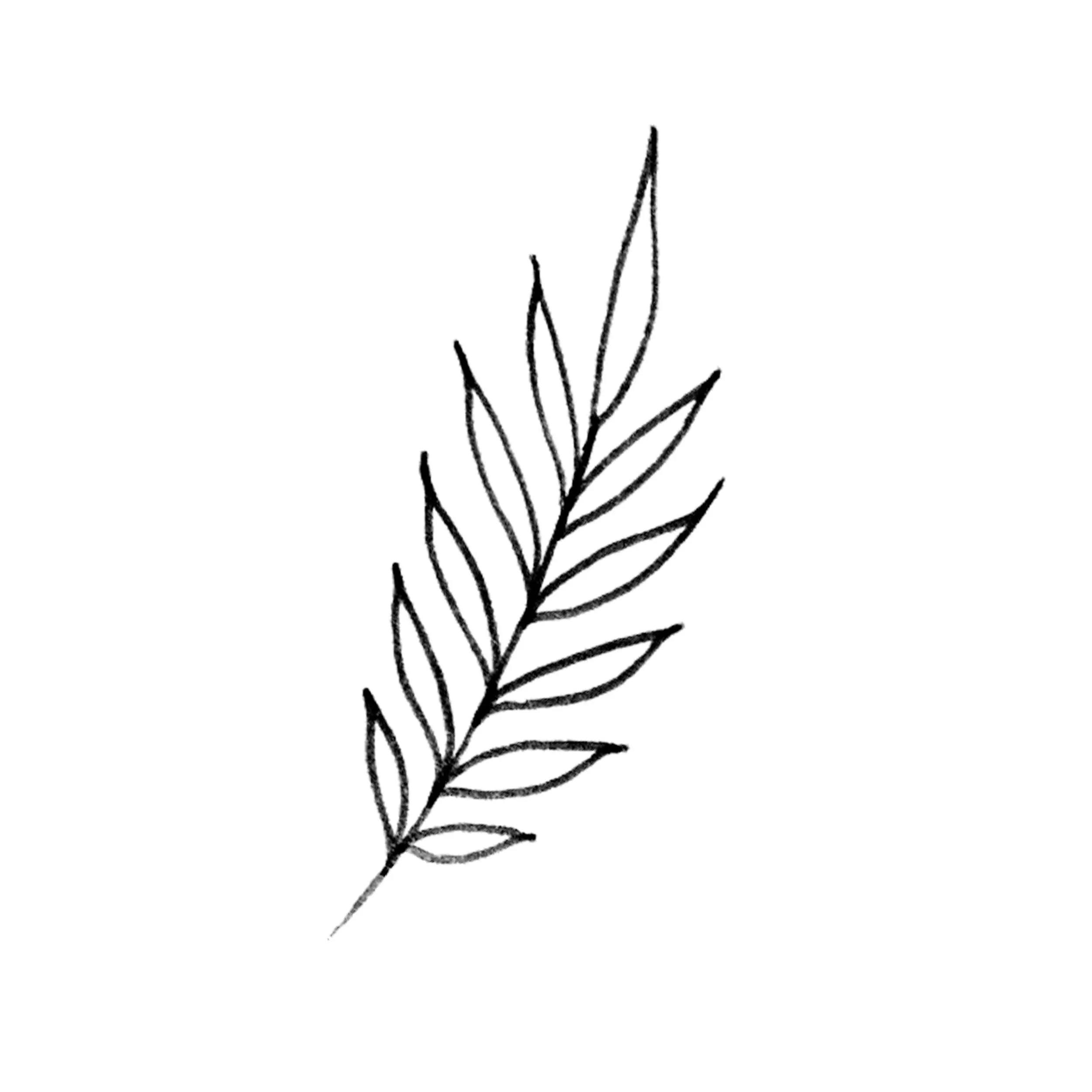 Simple Palm Leaves
