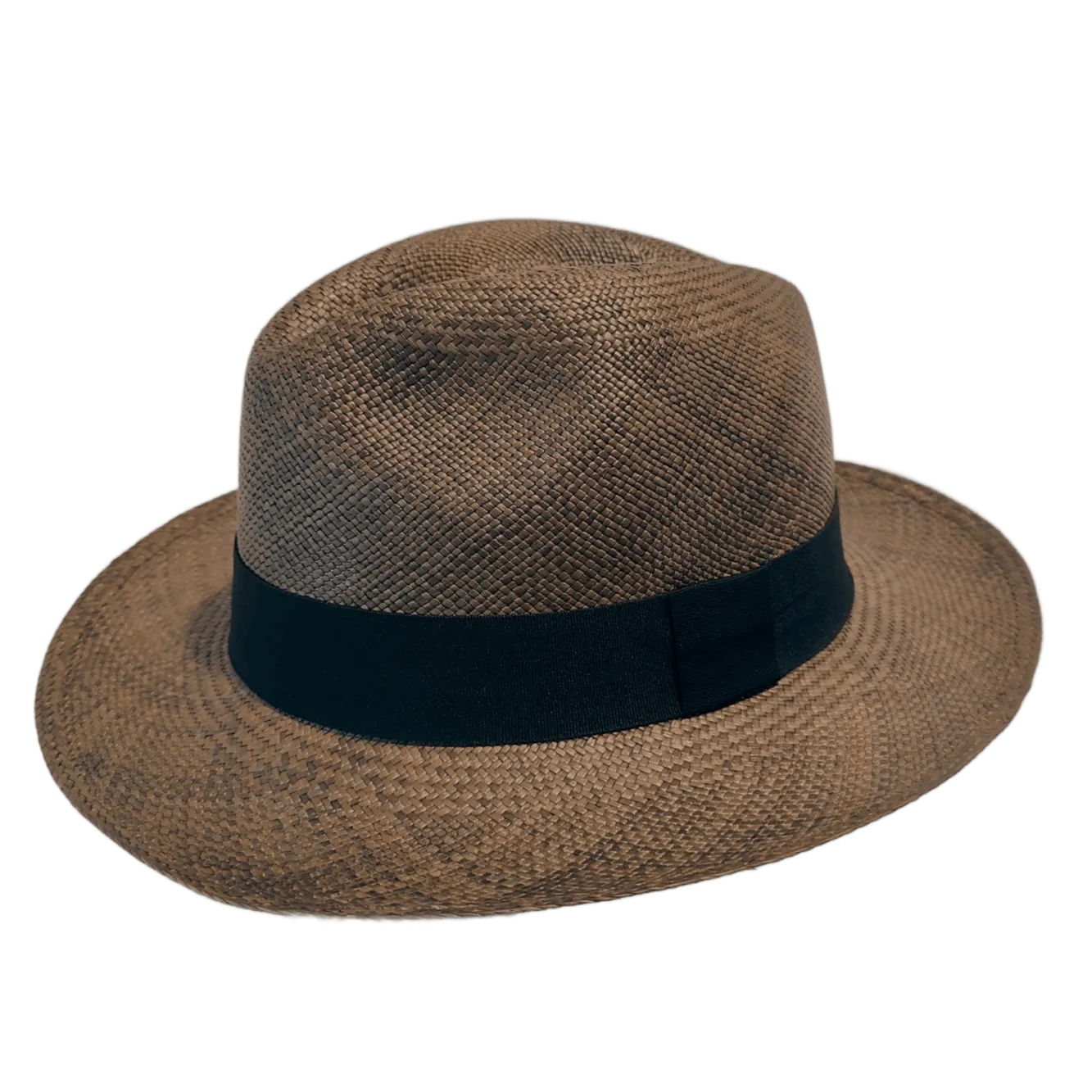Tortuga