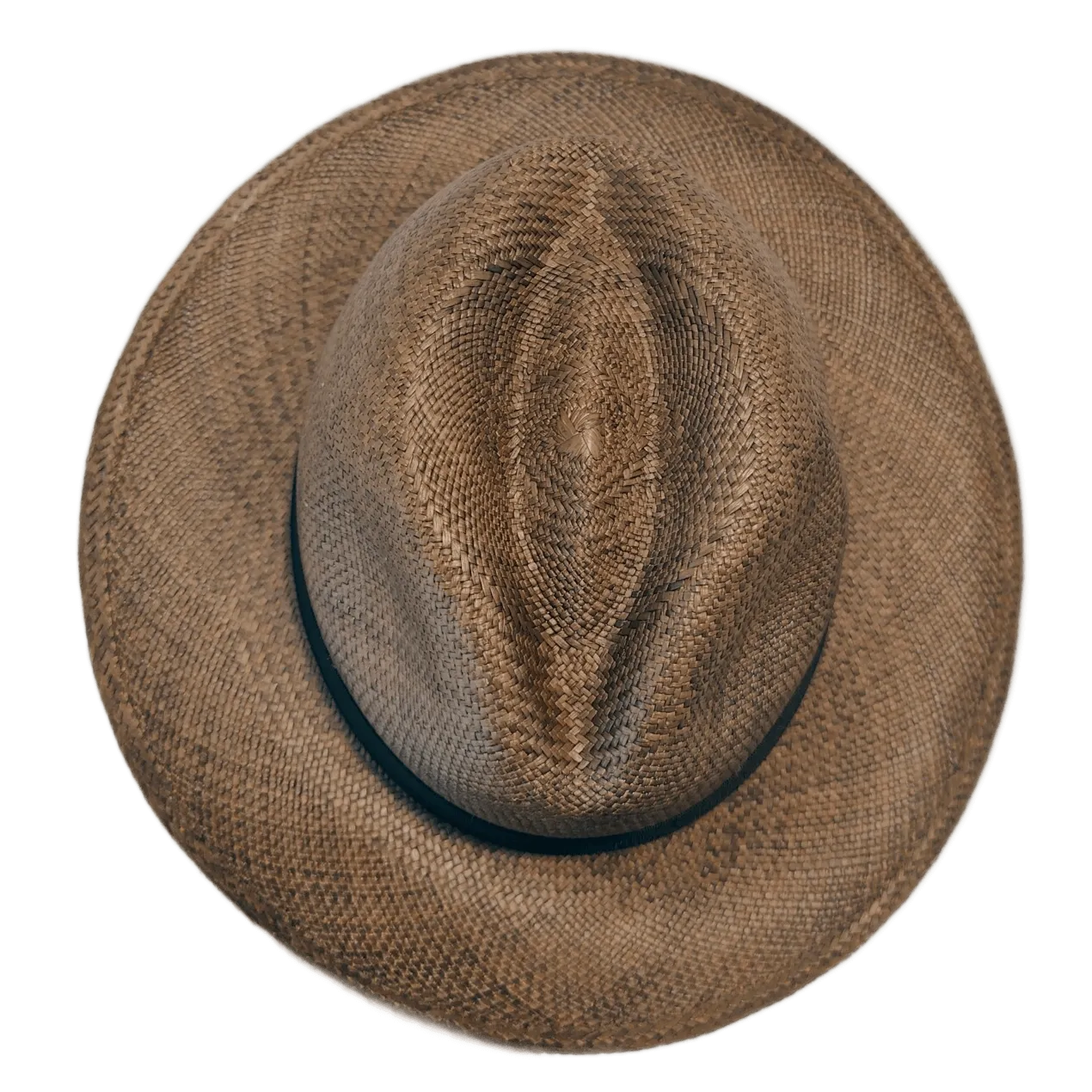 Tortuga